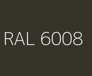 RAL 6008