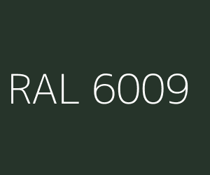 RAL 6009