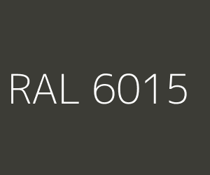 RAL 6015