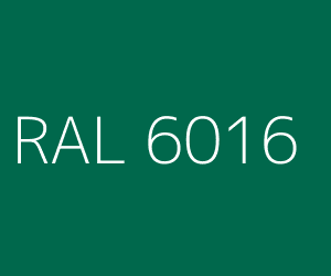 RAL 6016