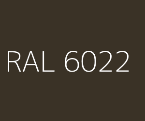 RAL 6022