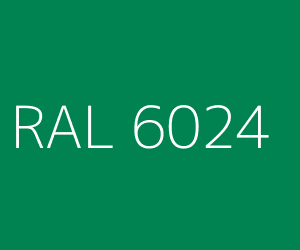 RAL 6024