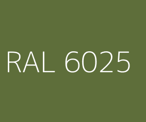 RAL 6025