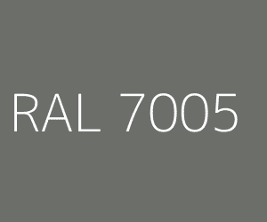 RAL 7005