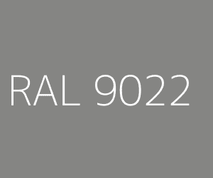 RAL 9022