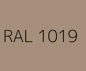Ral 1019