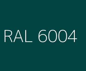 RAL 6004