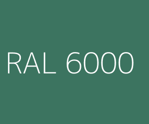 RAL 6000