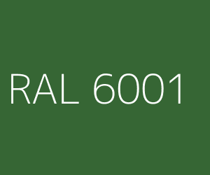 RAL 6001