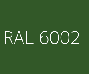RAL 6002