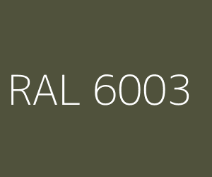 RAL 6003