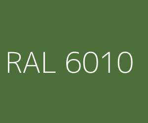 RAL 6010