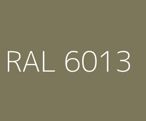 RAL 6013