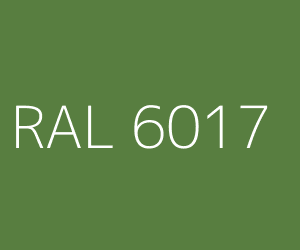 RAL 6017