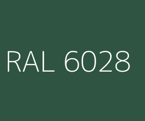 RAL 6028